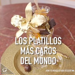 Platillos Mas Caros Del Mundo