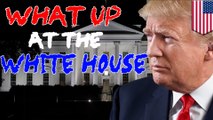 What Up at the White House recap: He’s back, Comey, Comey, Comey, Comey, Comey — COMEY - TomoNews