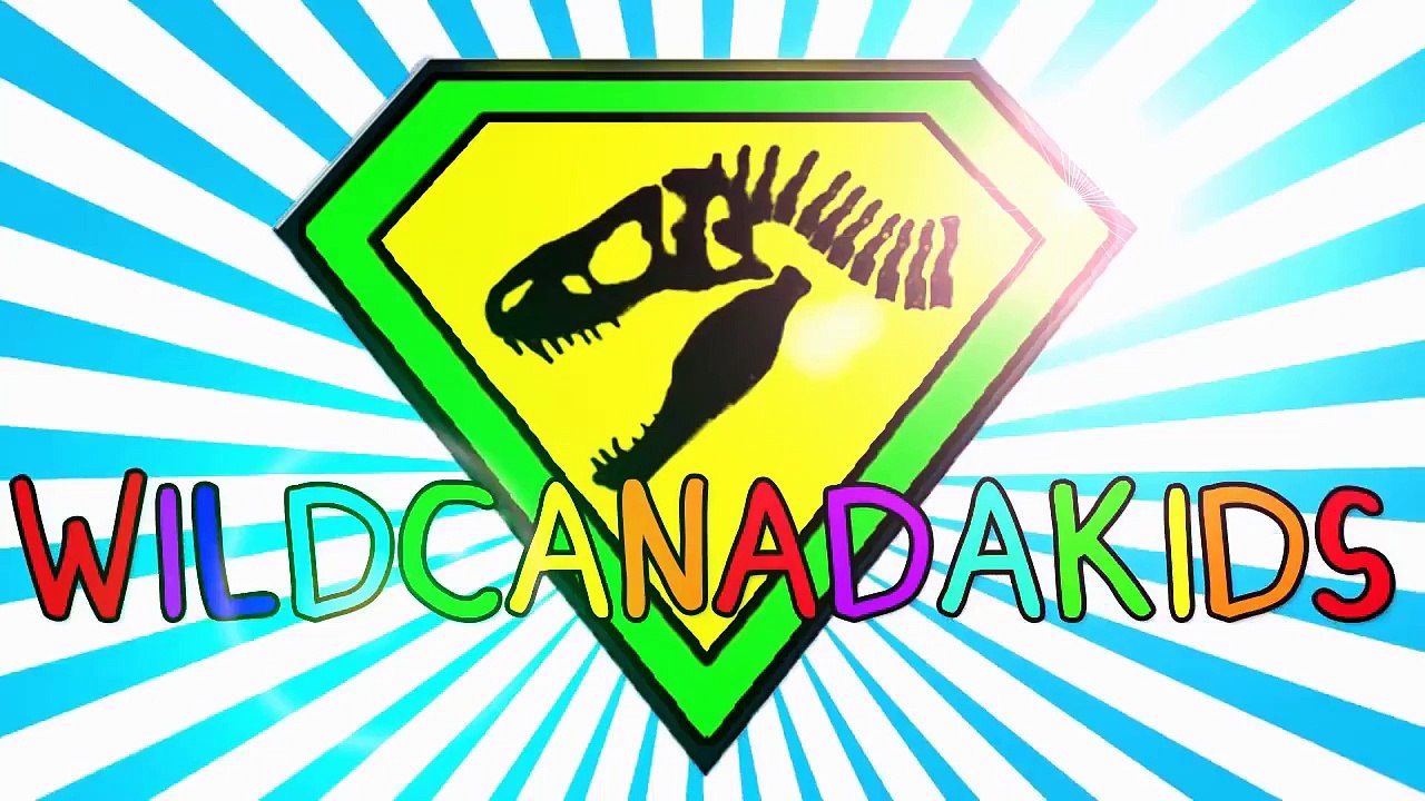 Street Vehicles for Kids _ Cars, Trucks, Emergency Vehicles _ Cars and Trucks for Children by KS,Animated cartoons 2017