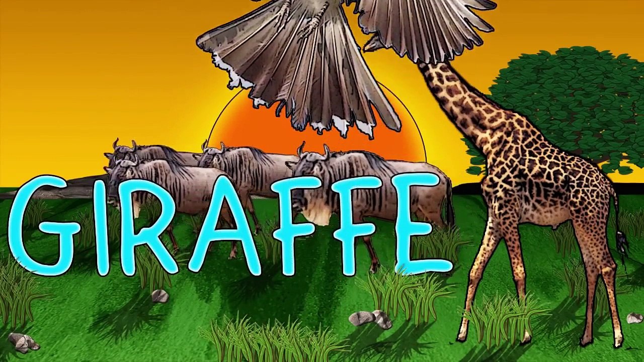 Animal Finger Family Songs! Finger Family Animals, Animal Finger Family Playlist, Finger Family Son,Animated cartoons 2017