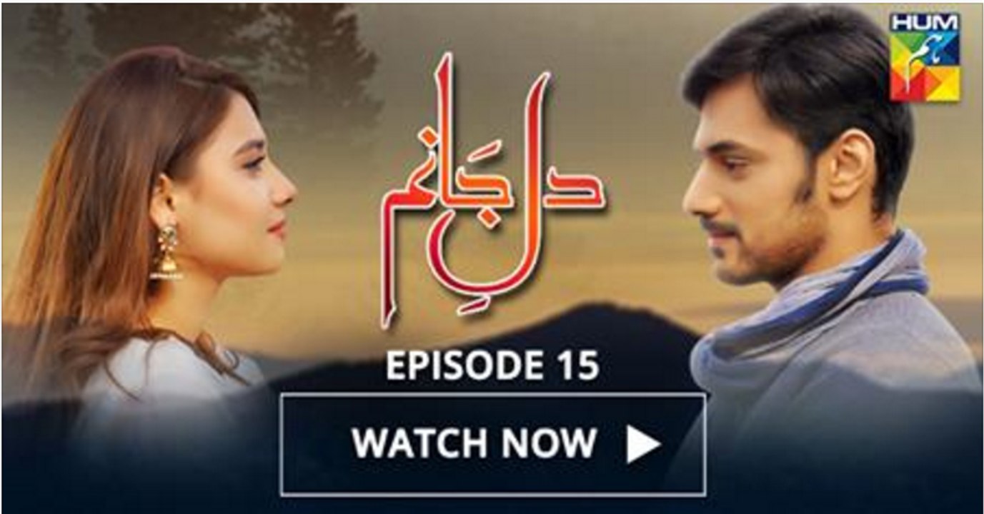 Dil e Jaanam Episode 15 Hum TV Drama - 9 June 2017