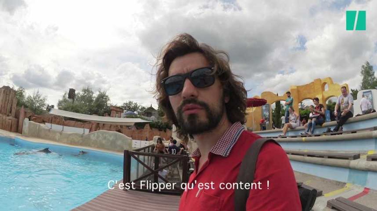 BLOG - J'ai parlé d'espérance de vie et de Flipper aux derniers dauphins du parc d'Astérix