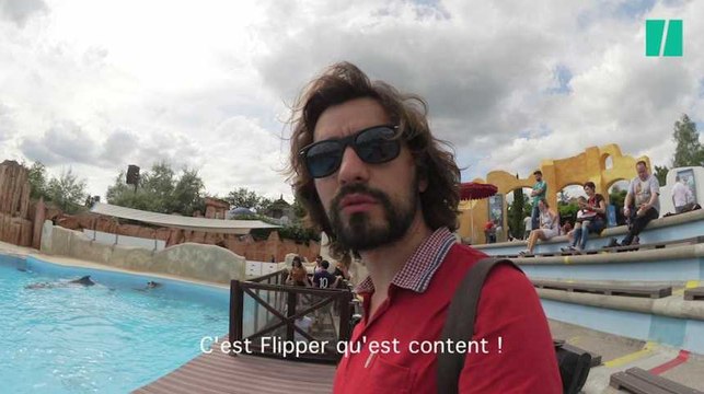 BLOG - J'ai parlé d'espérance de vie et de Flipper aux derniers dauphins du parc d'Astérix