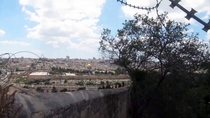 Vangelo (Vangelo) - Trailer