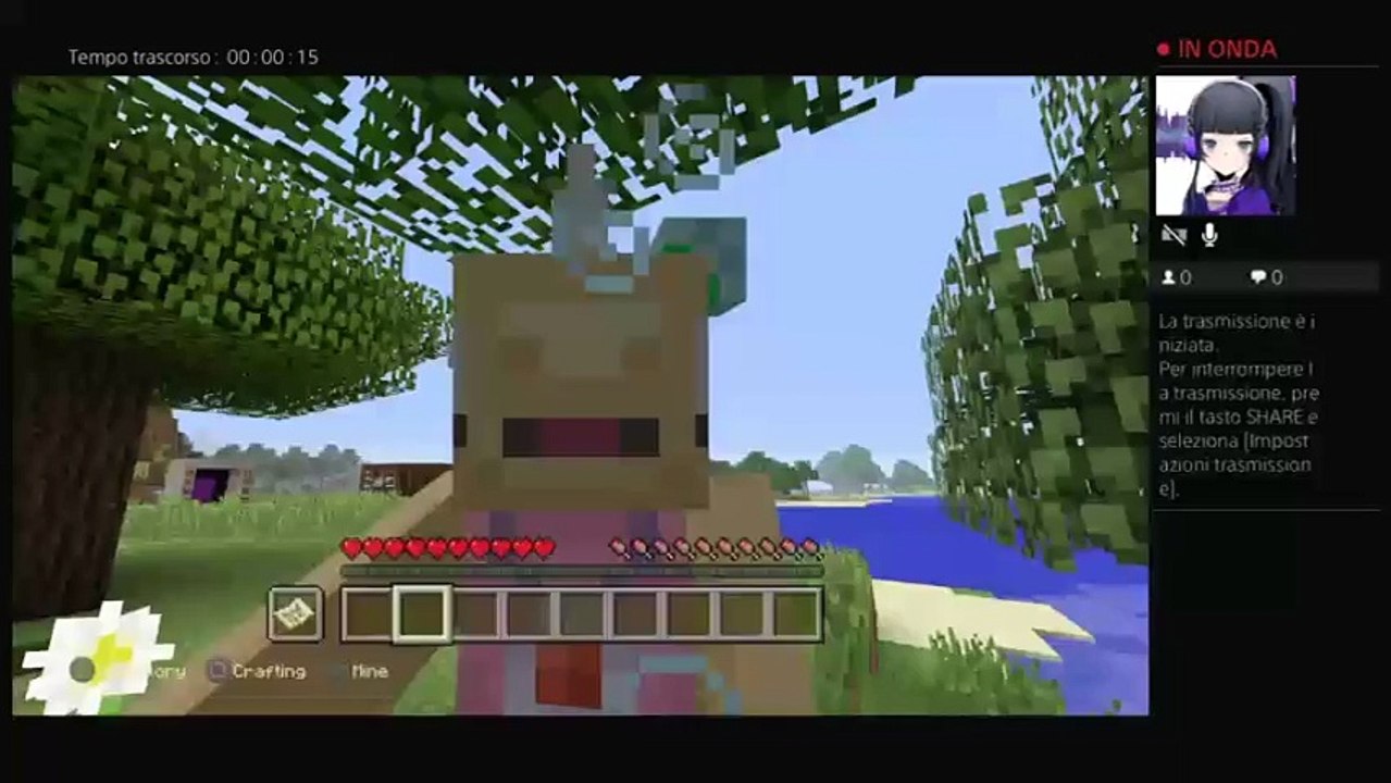 Minecraft PS4 (4)