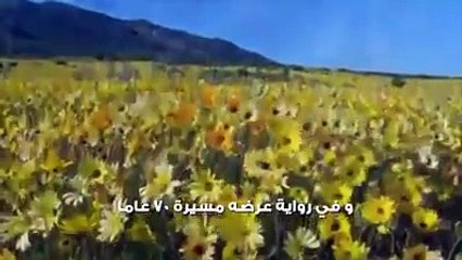 الرجوع الى الله