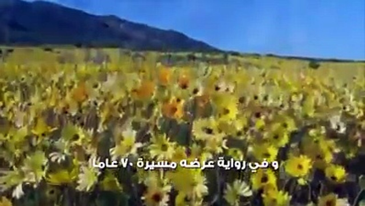 الرجوع الى الله