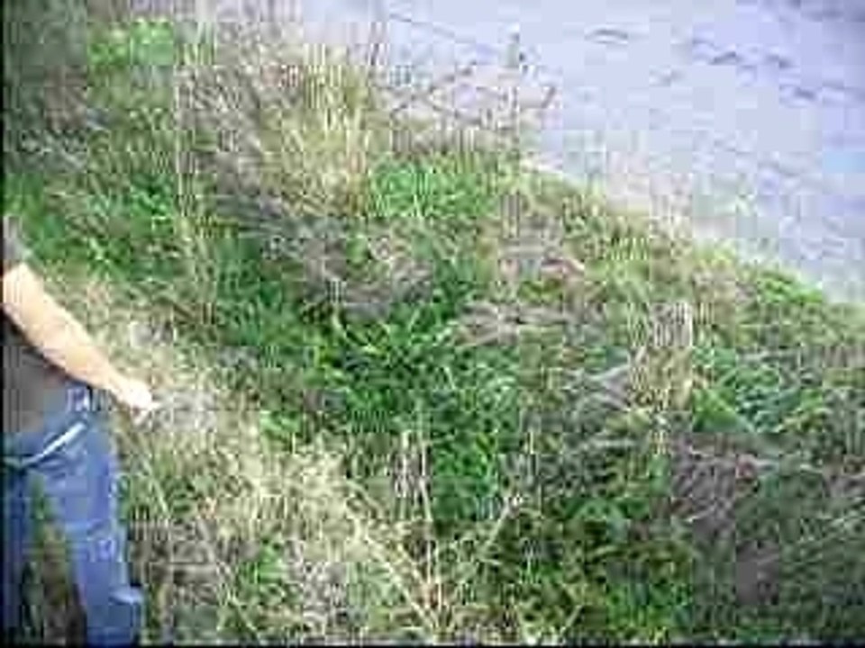 bmw e30 moteur m3 e36