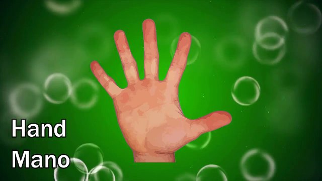 [English vocabulary–Finger names] Vocabulario en inglés- Nombre de los dedos - YouTube