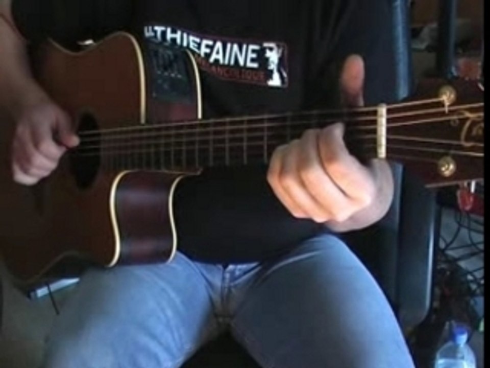 HF THIEFAINE - Bouton de rose