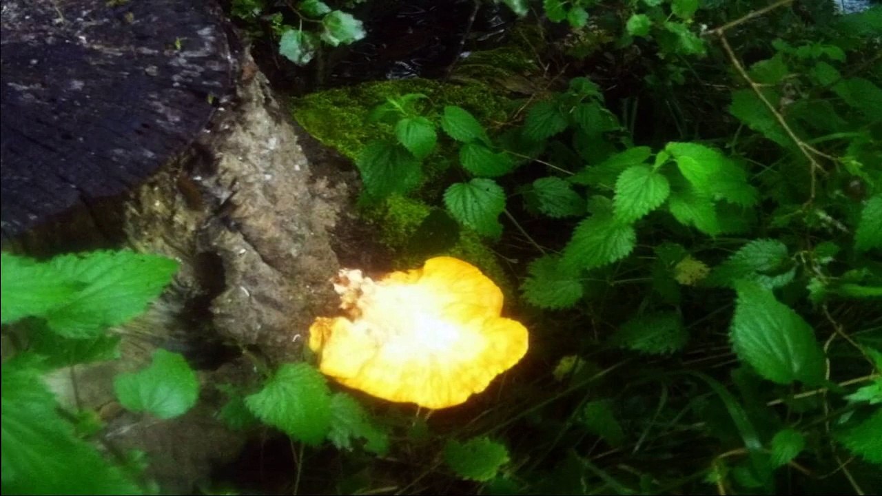 Jeden Tag in Deutschland, wird Haarspray gesprüht und Parfümiert, dass man Kopfschmerzen bekommt. Alle Kinder, alle Hausfrauen, alle Hausmänner und alle Lehrer leiden jeden Morgen in Deutschland