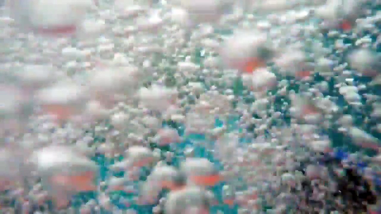 Shark Attack