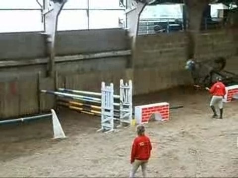 Cheval de 3 ans saute en liberté