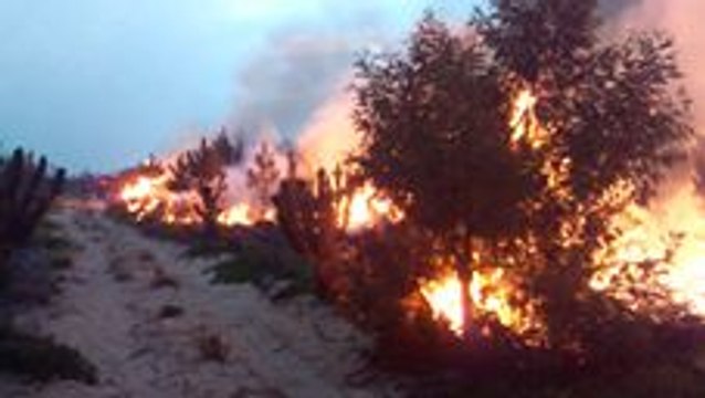 Western Cape Firefighters Brace for Flare Ups During Weekend Winds