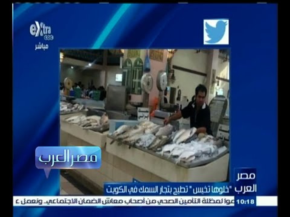 #مصر_العرب | " خلوها تخيس " تطيح بتجار السمك في...
