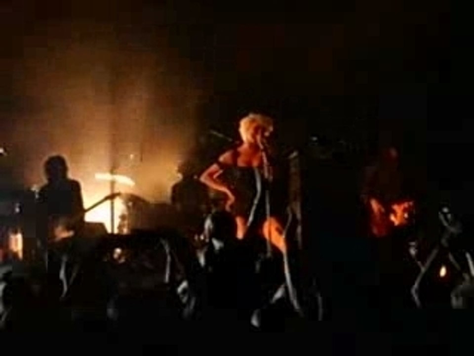 Vive la fête - Les bêtises