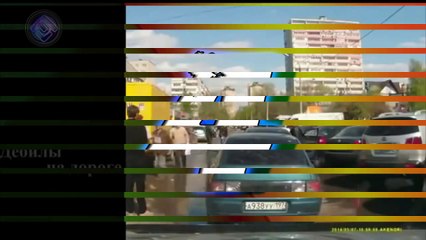 Conductores Bravucones que reciben su merecido