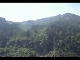 Unicorn sighting caug