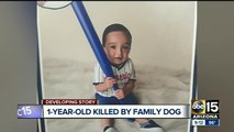 Baby dragged outside by dog, killed in south Phoenix attack