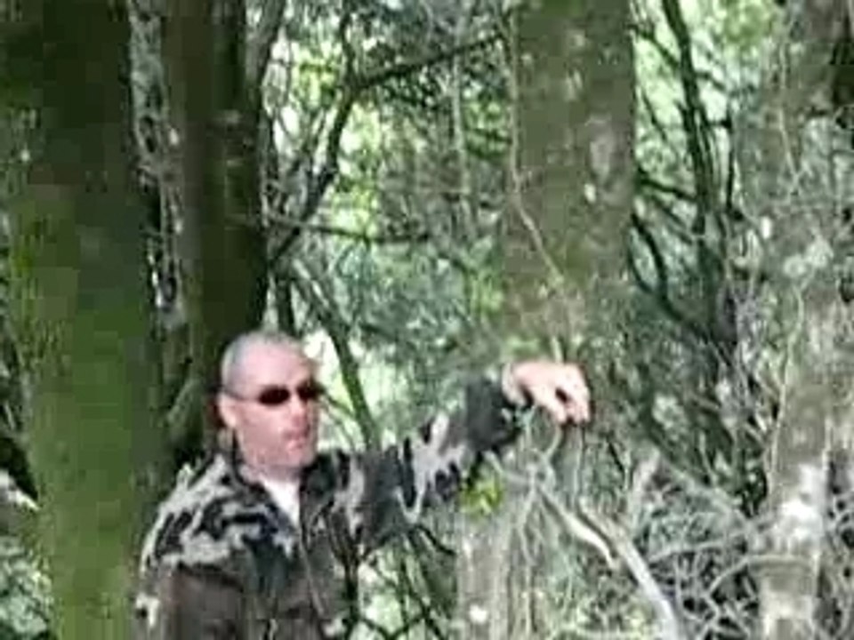 Perdu de vu