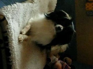 apres midi d'automne 2007 a la maison... avec mon coeur !!