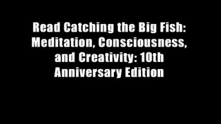 Read Catching the Big Fish: Meditation, Consciousness, and Creativity: 10th Anniversary Edition