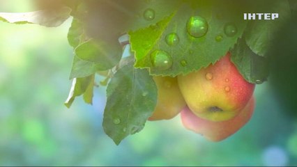 Храни меня, мой талисман-2 (1986) DVB