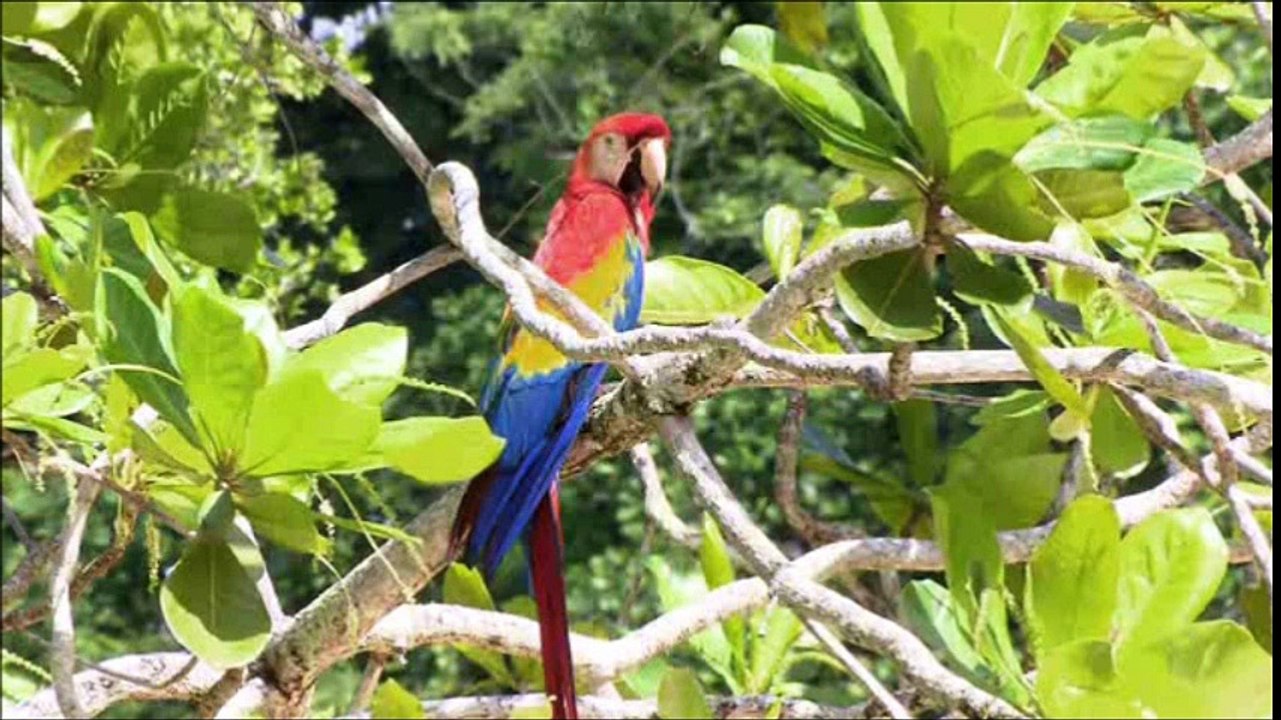 Staffel 13 Francesco Kiesewetter