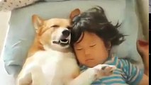 Köpekle birlikte uyuyan çocuk