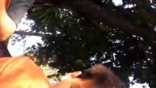 100660 Bbillkin live