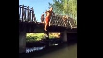 Funny Stupid Videos - Try Not to Laugh or Grin - Funny Vines