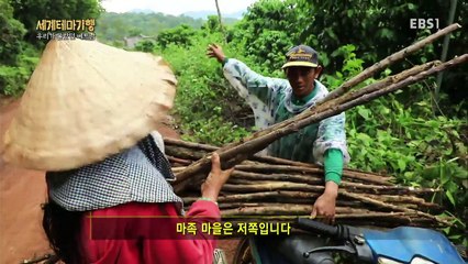 세계테마기행 - 우리가 몰랐던 베트남 1부- 영원히 봄날이고 싶다면 달랏_#002