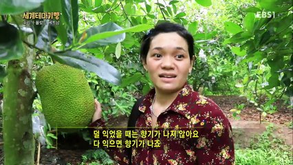 세계테마기행 - 우리가 몰랐던 베트남 2부- 메콩델타의 여인들_#001