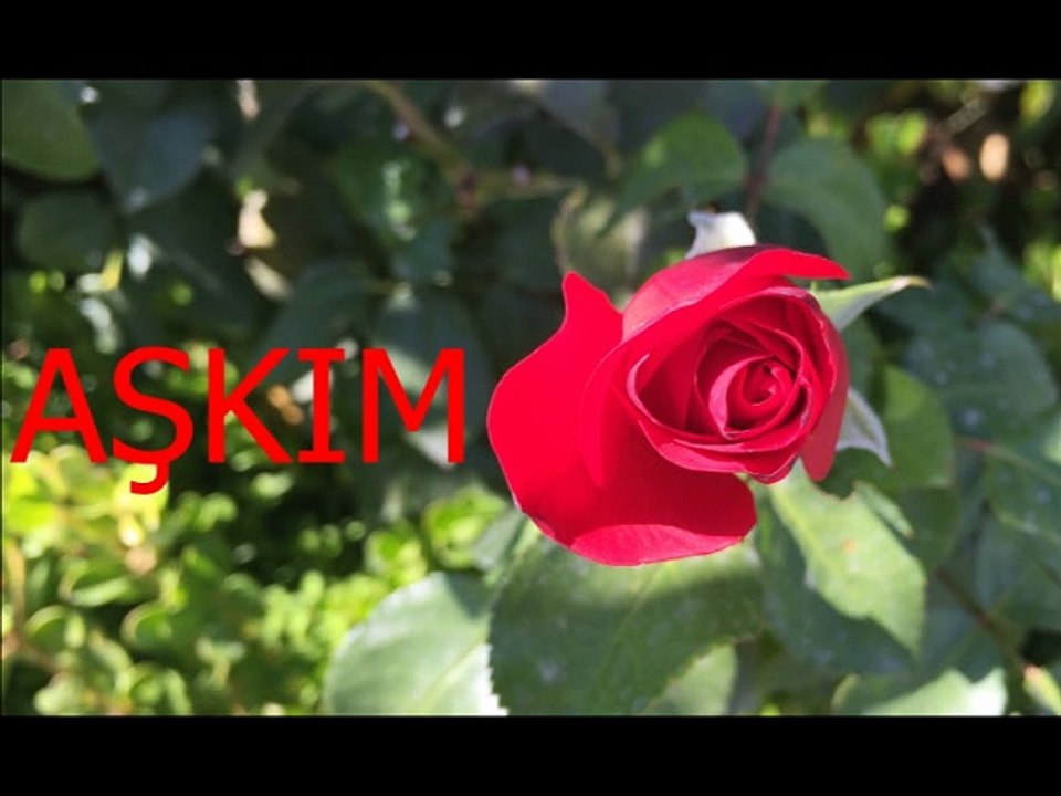 Sevim Tuna-Sensiz Olmuyor