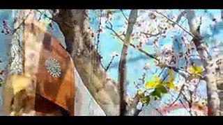 javed amir khel Pashto new 2014 song by