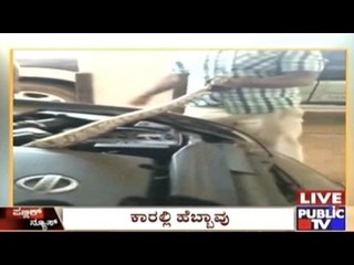 Srirangapatna: Python Rescued From Car Engine