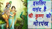 Lord Krishna wear Peacock Feather, Know Why | श्री कृष्‍ण क्यों पहनते हैं मोरपंख, जानें  | Boldsky