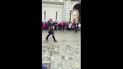 Un gardien suédois vs un lego