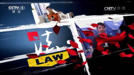 《今日说法》 20170610 大风吹来的官司