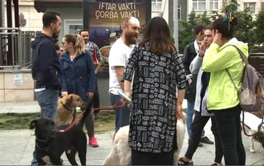 Cihangir'de Köpek Gezdirme Kavgası! Vantilatörle Saldırdı, Kafasını Kırdı