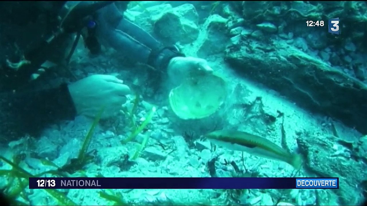 À la découverte de l'épave des Iles Sanguinaires en Corse