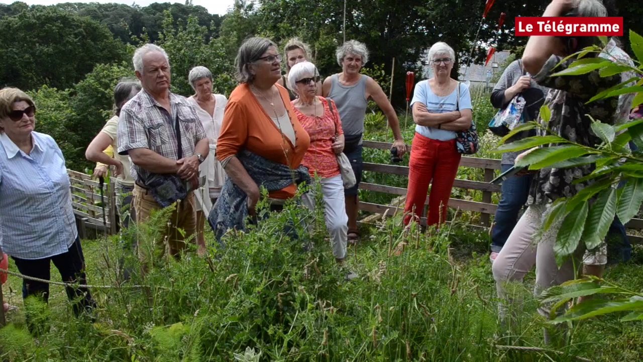 Morlaix. Les jardins solidaires ouverts au public ce week-end