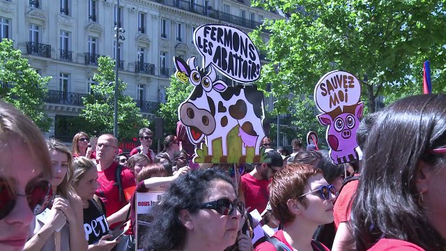 Manifestation pour la fermeture des abattoirs