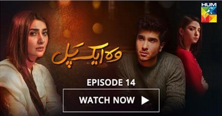 Woh Aik Pal Episode 14 HUM TV Drama - 10 June 2017