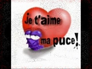 Ma puce é moi