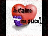 Ma puce é moi