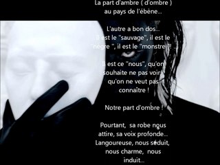 La part d'ambre ( d'ombre ) au pays de l'ébène