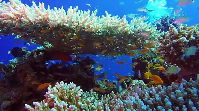 Como Relaxar e descansar - Música e imagens relaxantes