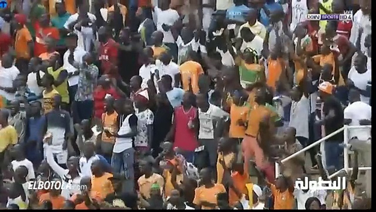 هدف ساحل العاج الأول أمام غينيا Ivory Coast 1-0 Guinea