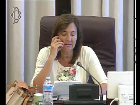 Roma - Licenziamento illegittimo, audizione esperti (07.06.17)